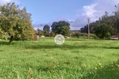 Terreno para Venda em Assafarge e Antanhol
