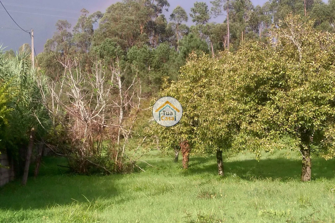 Terreno para Venda em Assafarge e Antanhol Foto 6