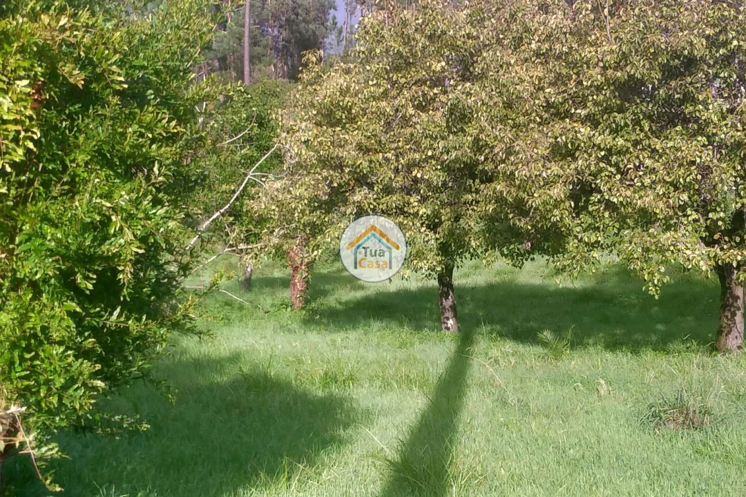 Terreno para Venda em Assafarge e Antanhol Foto 12