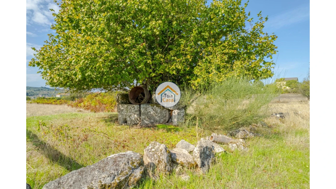 Quinta T1 para Venda em Tavares (Chãs, Várzea e Travanca) Foto 8