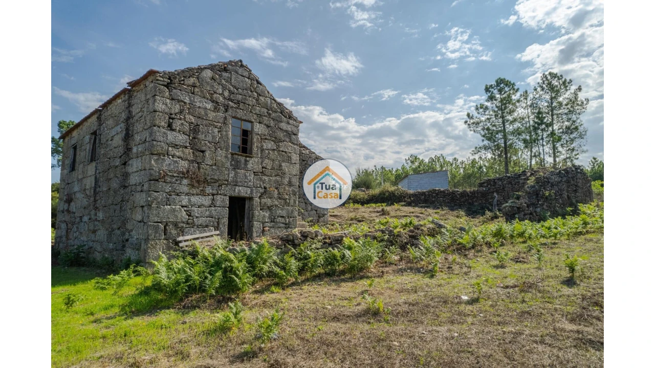 Quinta T1 para Venda em Tavares (Chãs, Várzea e Travanca) Foto 6