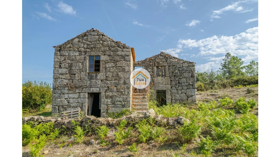 Quinta T1 para Venda em Tavares (Chãs, Várzea e Travanca) Foto 9