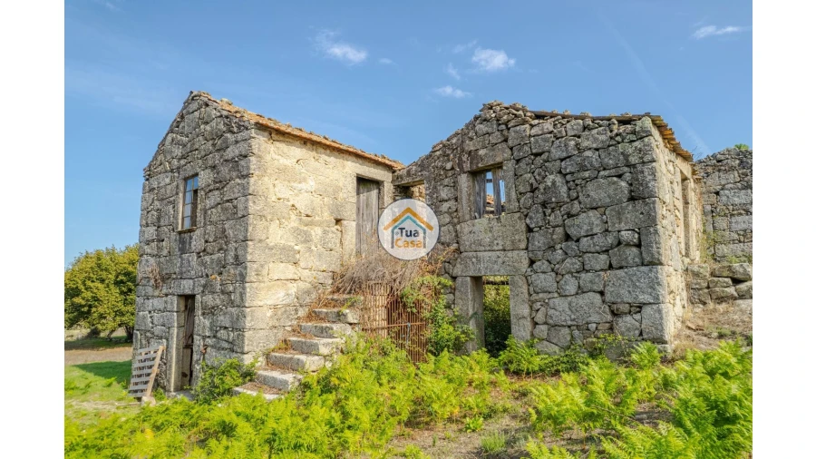 Quinta T1 para Venda em Tavares (Chãs, Várzea e Travanca) Foto 1