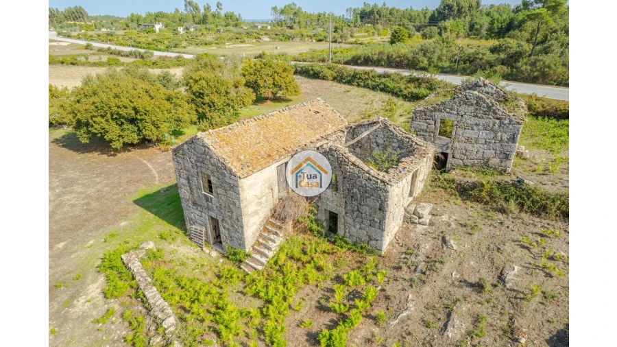 Quinta T1 para Venda em Tavares (Chãs, Várzea e Travanca) Foto 4