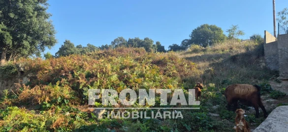 Terreno para Venda em Campanhã