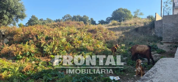 Terreno para Venda em Campanhã