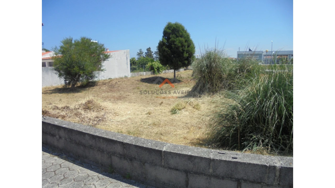 Terreno para Venda em Ílhavo (São Salvador) Foto 1