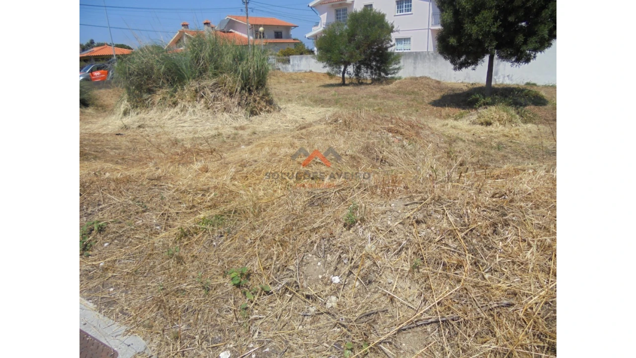 Terreno para Venda em Ílhavo (São Salvador) Foto 9