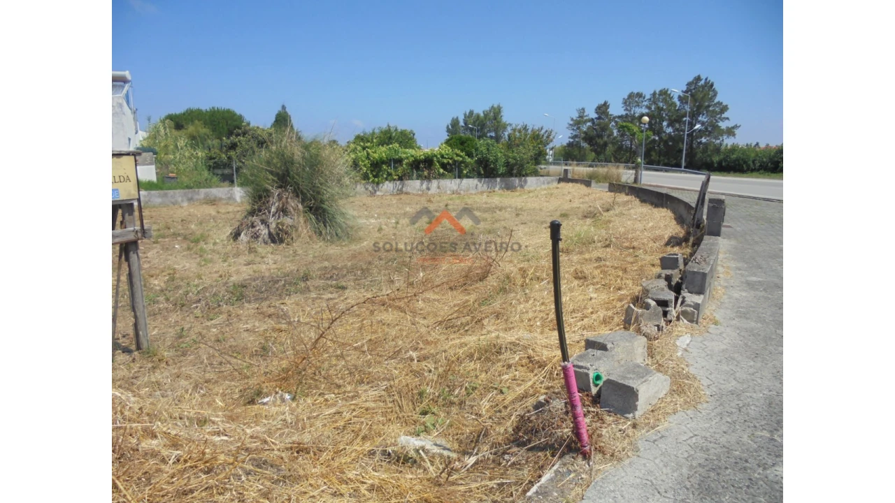 Terreno para Venda em Ílhavo (São Salvador) Foto 10