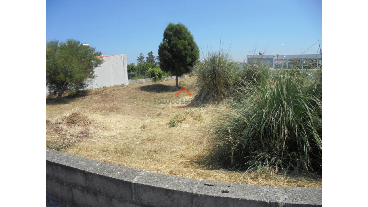 Terreno para Venda em Ílhavo (São Salvador) Foto 14