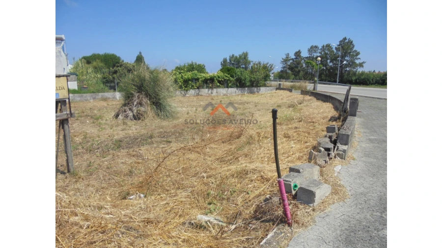 Terreno para Venda em Ílhavo (São Salvador) Foto 10