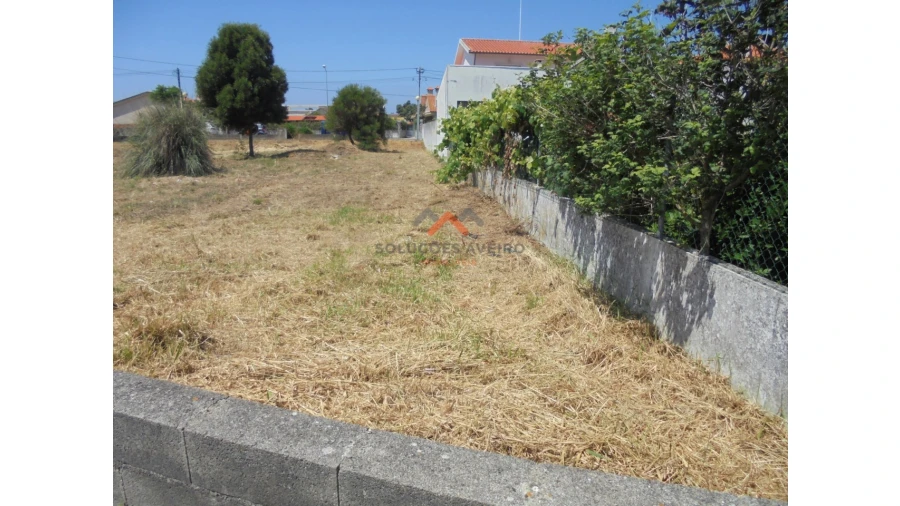 Terreno para Venda em Ílhavo (São Salvador) Foto 11