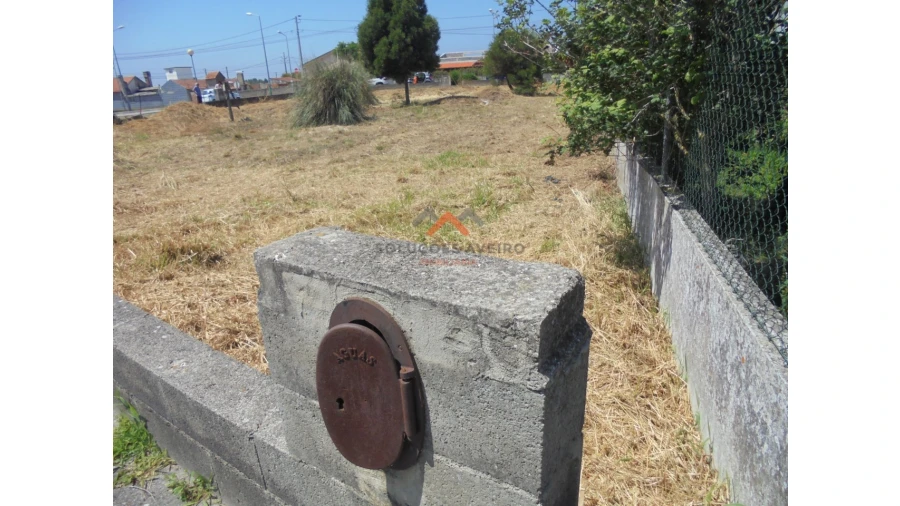 Terreno para Venda em Ílhavo (São Salvador) Foto 12