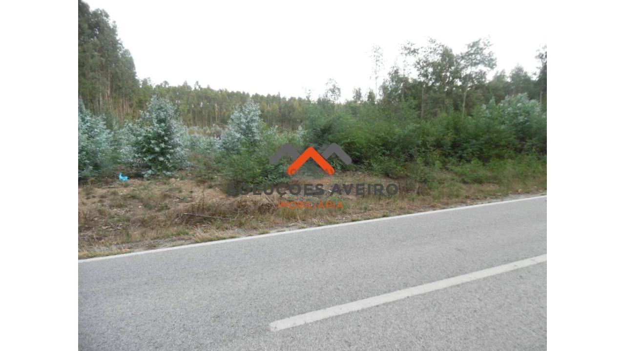 Terreno para Venda em Alquerubim Foto 1