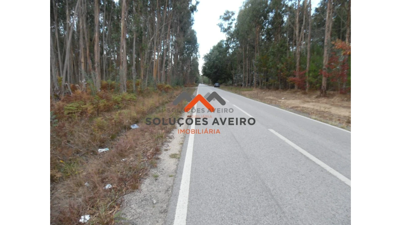 Terreno para Venda em Alquerubim Foto 3