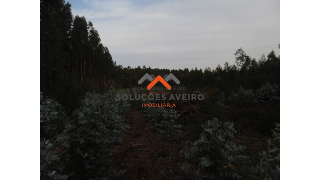 Terreno para Venda em Alquerubim Foto 4