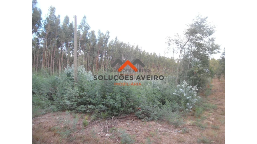 Terreno para Venda em Alquerubim Foto 2