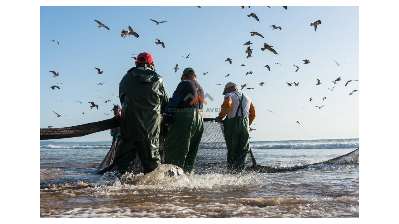 Apartamento T3 para Venda em Gafanha da Boa Hora Foto 17