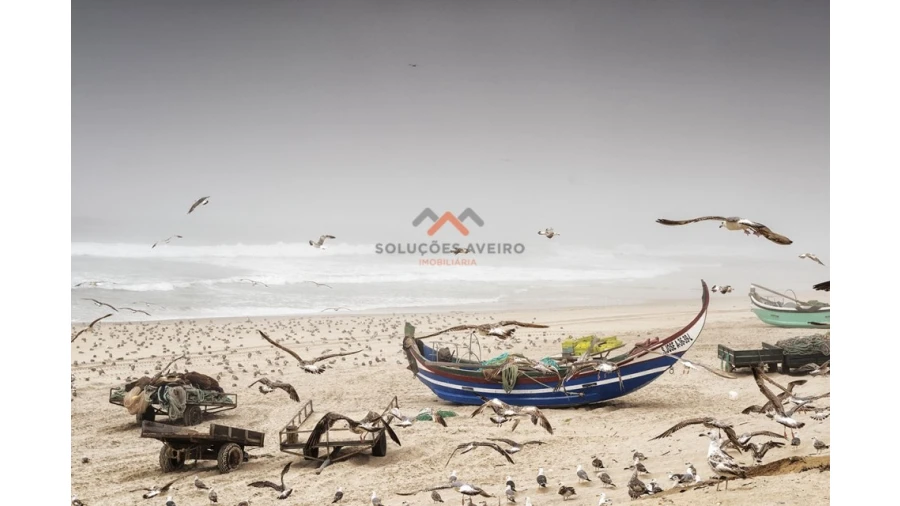 Apartamento T3 para Venda em Gafanha da Boa Hora Foto 16