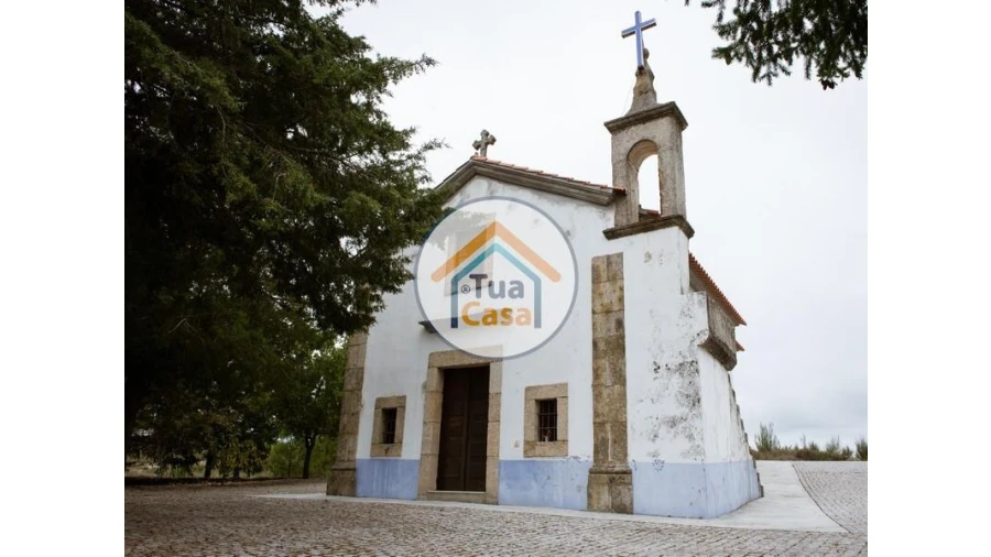 Terreno para Venda em Tavares (Chãs, Várzea e Travanca) Foto 13