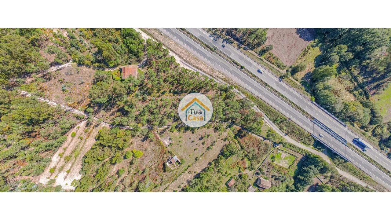 Terreno para Venda em Tavares (Chãs, Várzea e Travanca) Foto 10