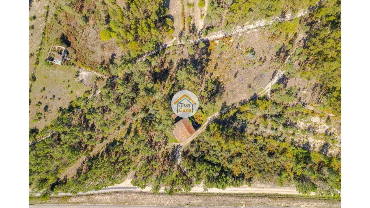 Terreno para Venda em Tavares (Chãs, Várzea e Travanca) Foto 8