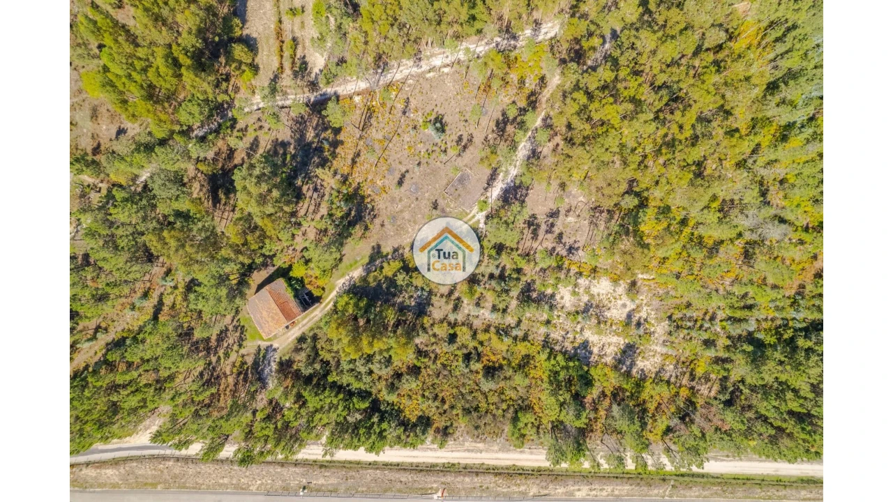 Terreno para Venda em Tavares (Chãs, Várzea e Travanca) Foto 2