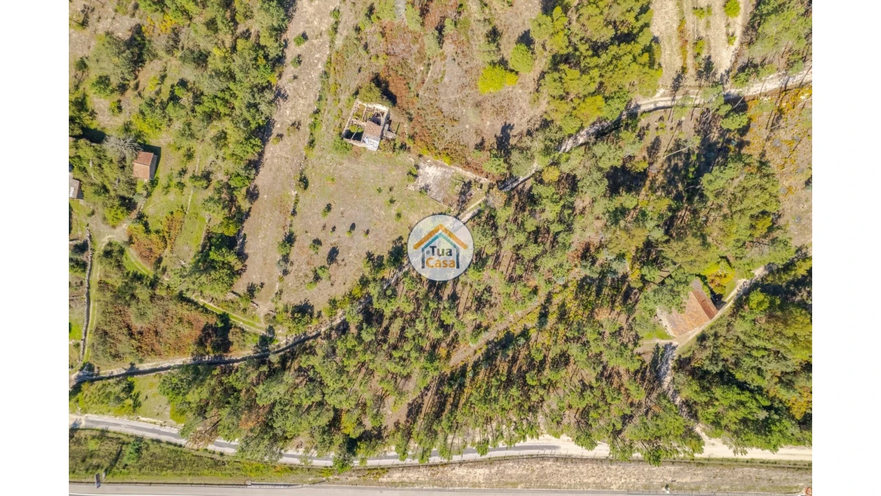 Terreno para Venda em Tavares (Chãs, Várzea e Travanca) Foto 9