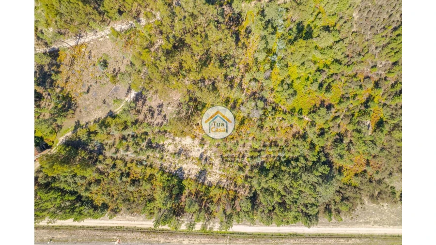 Terreno para Venda em Tavares (Chãs, Várzea e Travanca) Foto 7