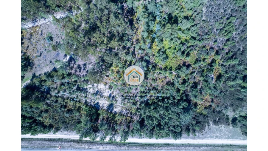 Terreno para Venda em Tavares (Chãs, Várzea e Travanca) Foto 6