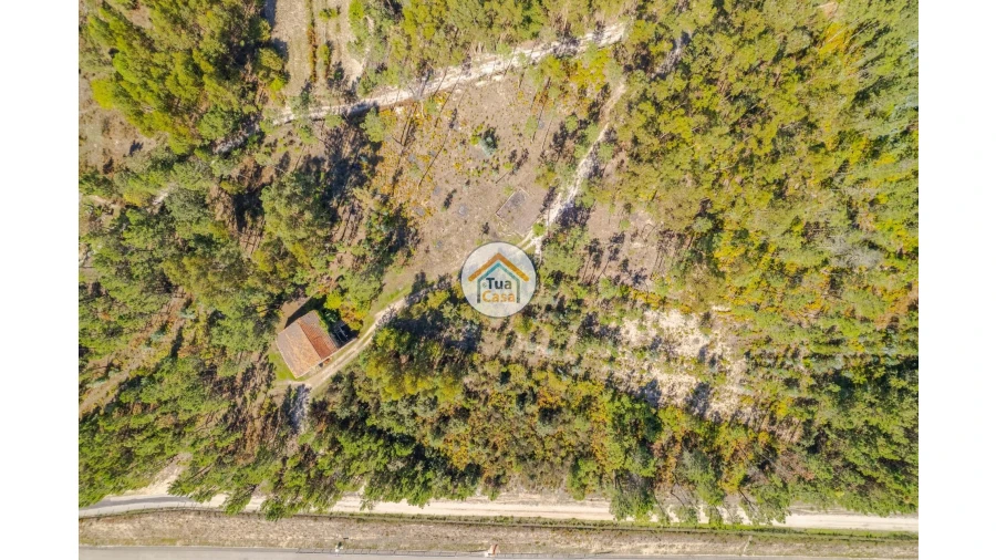 Terreno para Venda em Tavares (Chãs, Várzea e Travanca) Foto 2