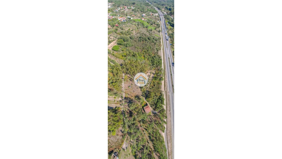 Terreno para Venda em Tavares (Chãs, Várzea e Travanca) Foto 11