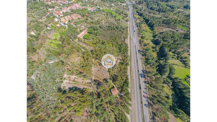 Terreno para Venda em Tavares (Chãs, Várzea e Travanca) Foto 12