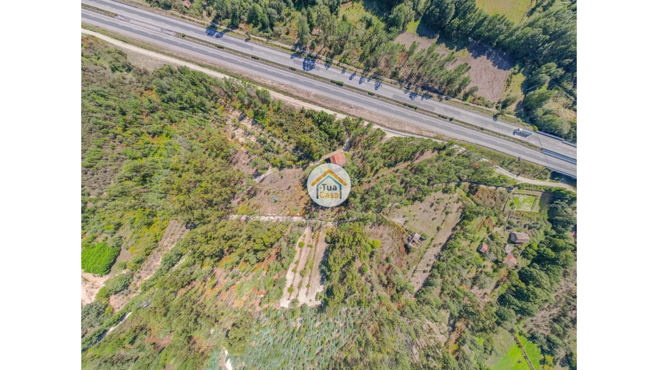 Terreno para Venda em Tavares (Chãs, Várzea e Travanca) Foto 3