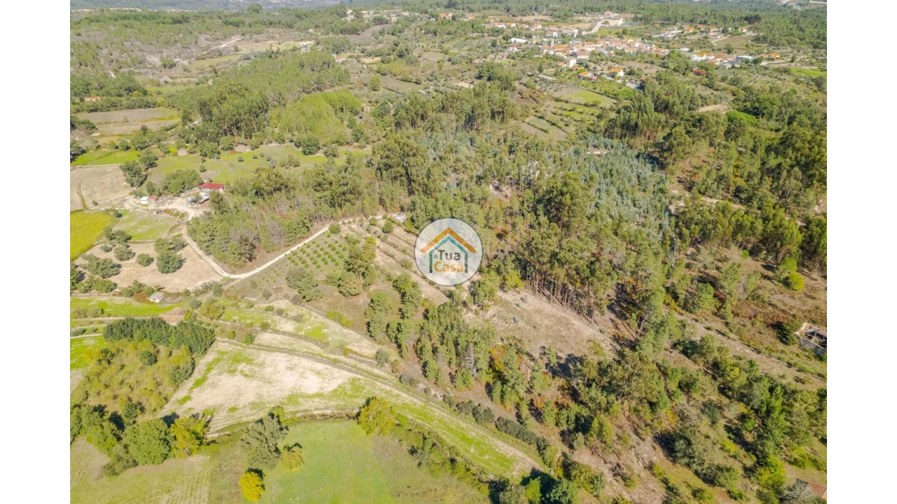 Terreno para Venda em Tavares (Chãs, Várzea e Travanca) Foto 6