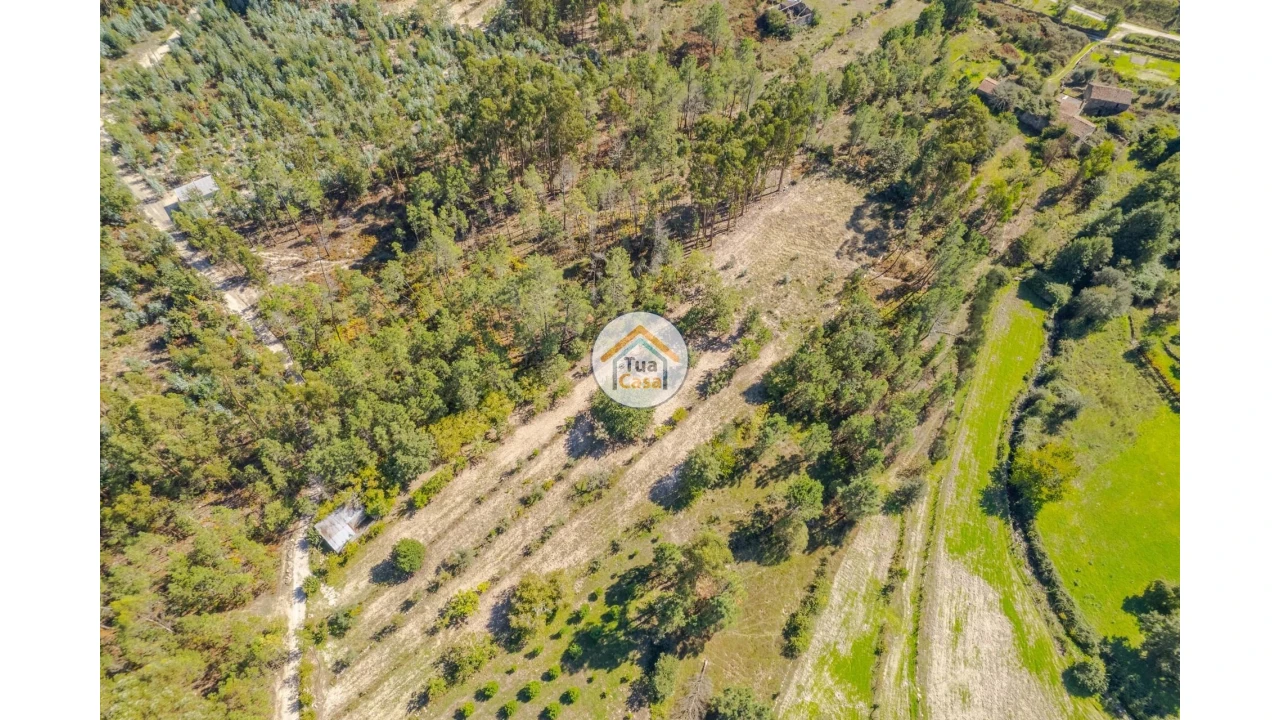 Terreno para Venda em Tavares (Chãs, Várzea e Travanca) Foto 5
