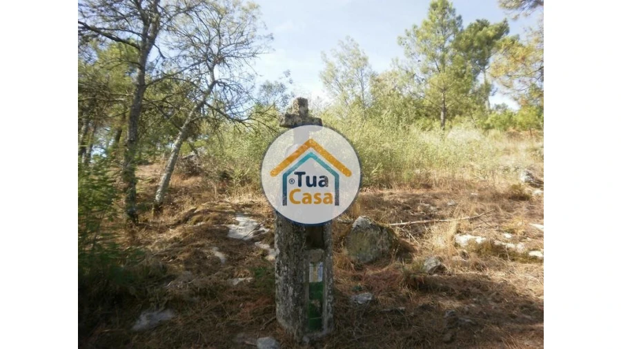 Terreno para Venda em Tavares (Chãs, Várzea e Travanca) Foto 17