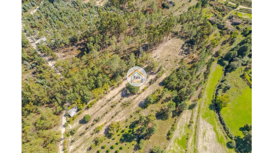 Terreno para Venda em Tavares (Chãs, Várzea e Travanca) Foto 8