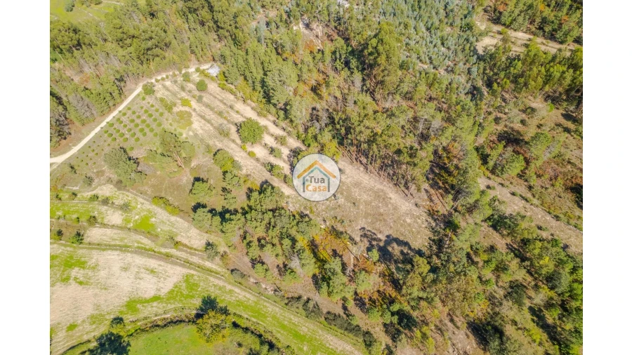 Terreno para Venda em Tavares (Chãs, Várzea e Travanca) Foto 3