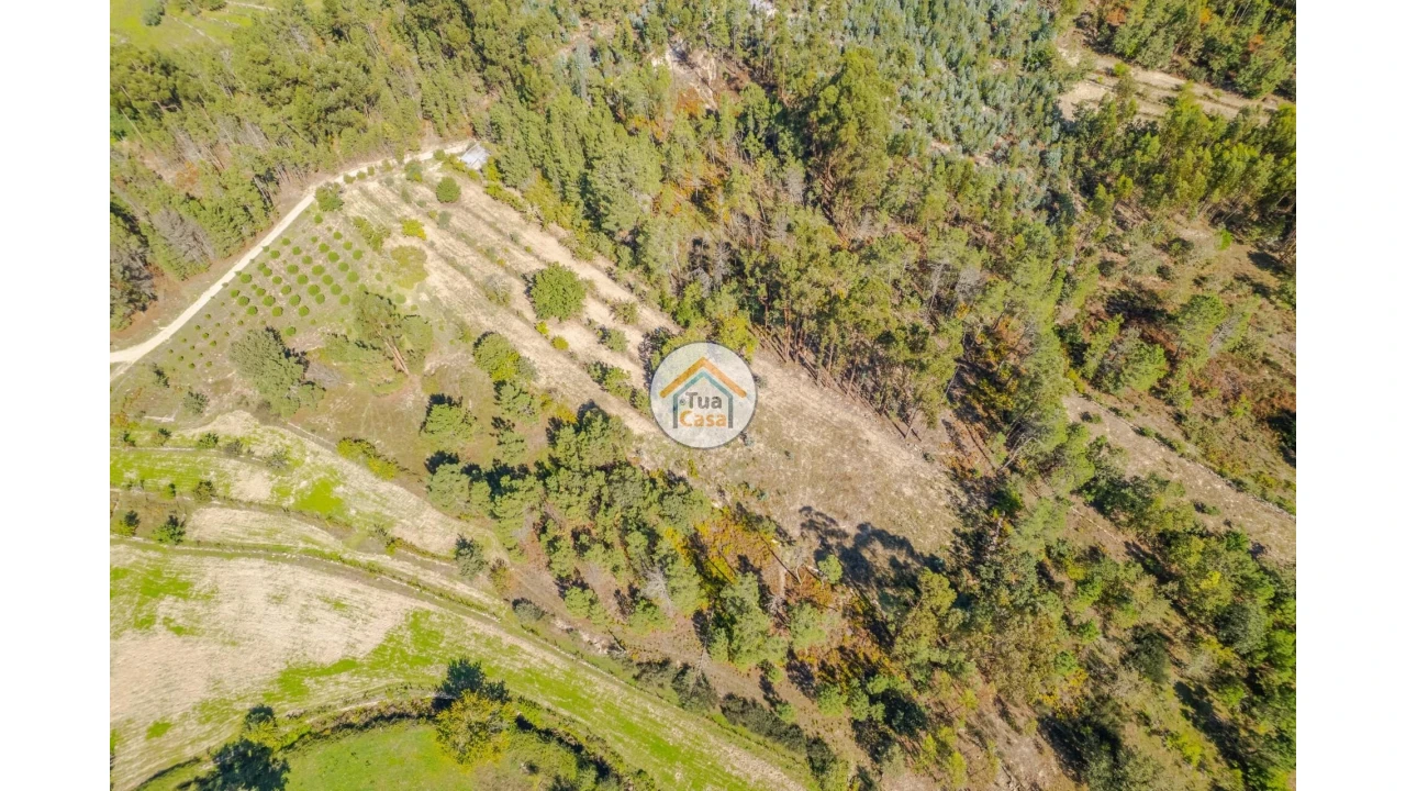 Terreno para Venda em Tavares (Chãs, Várzea e Travanca) Foto 3