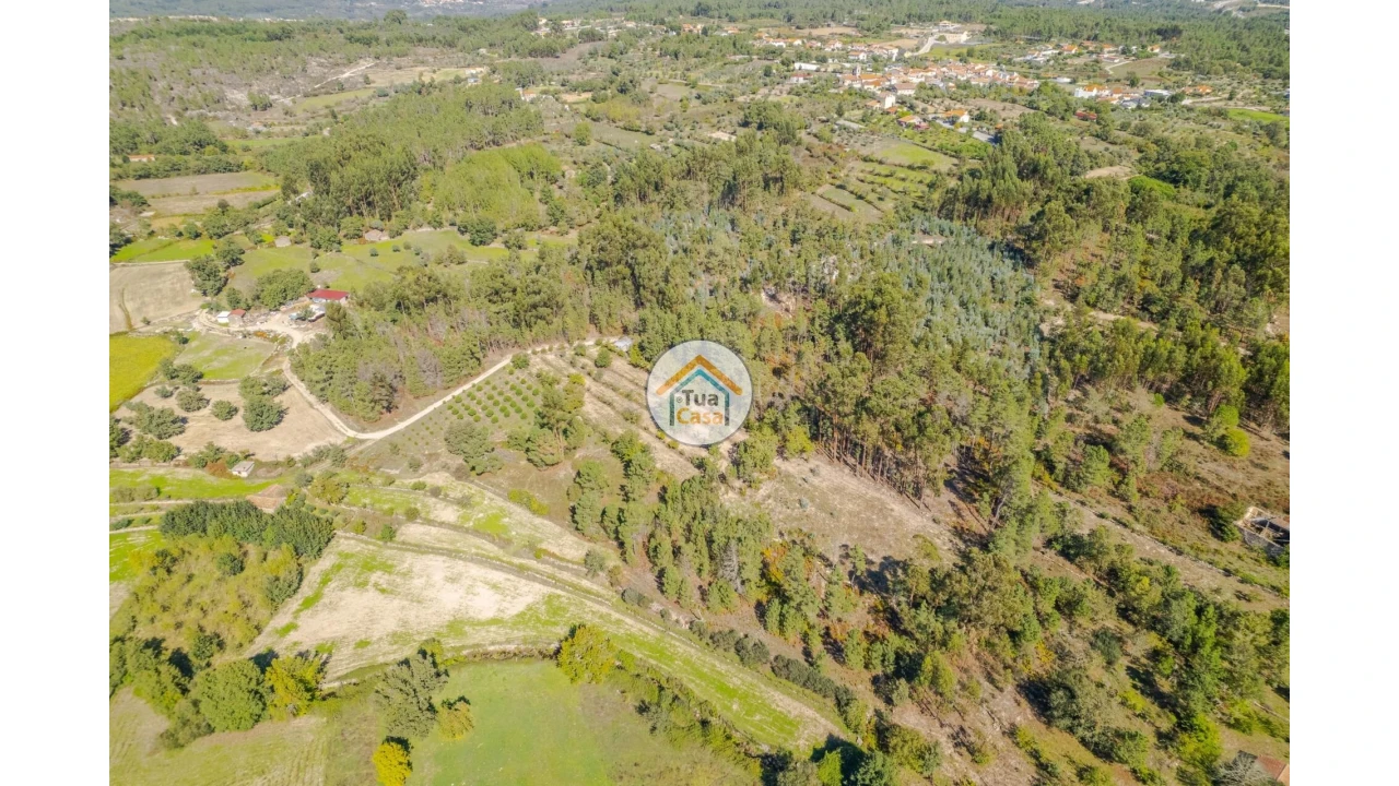 Terreno para Venda em Tavares (Chãs, Várzea e Travanca) Foto 1