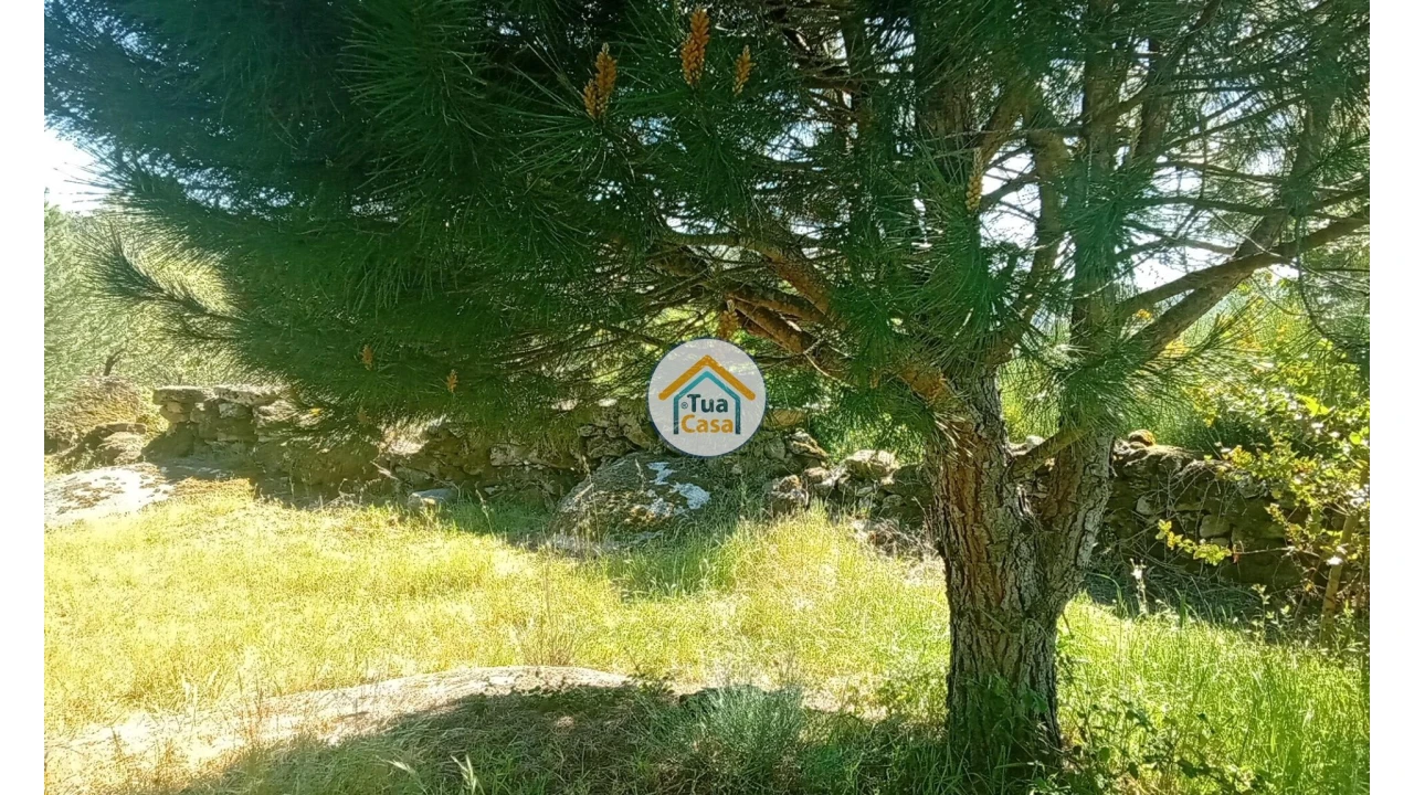 Terreno para Venda em Tavares (Chãs, Várzea e Travanca) Foto 33