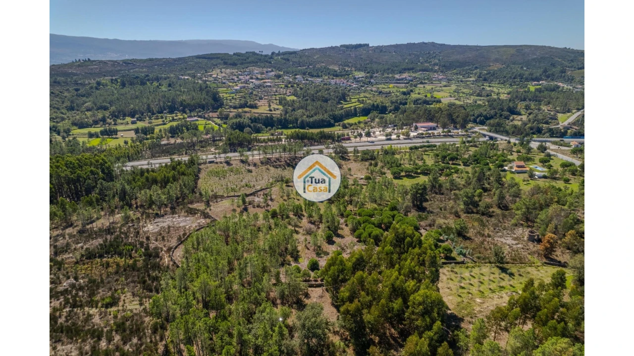 Terreno para Venda em Tavares (Chãs, Várzea e Travanca) Foto 8