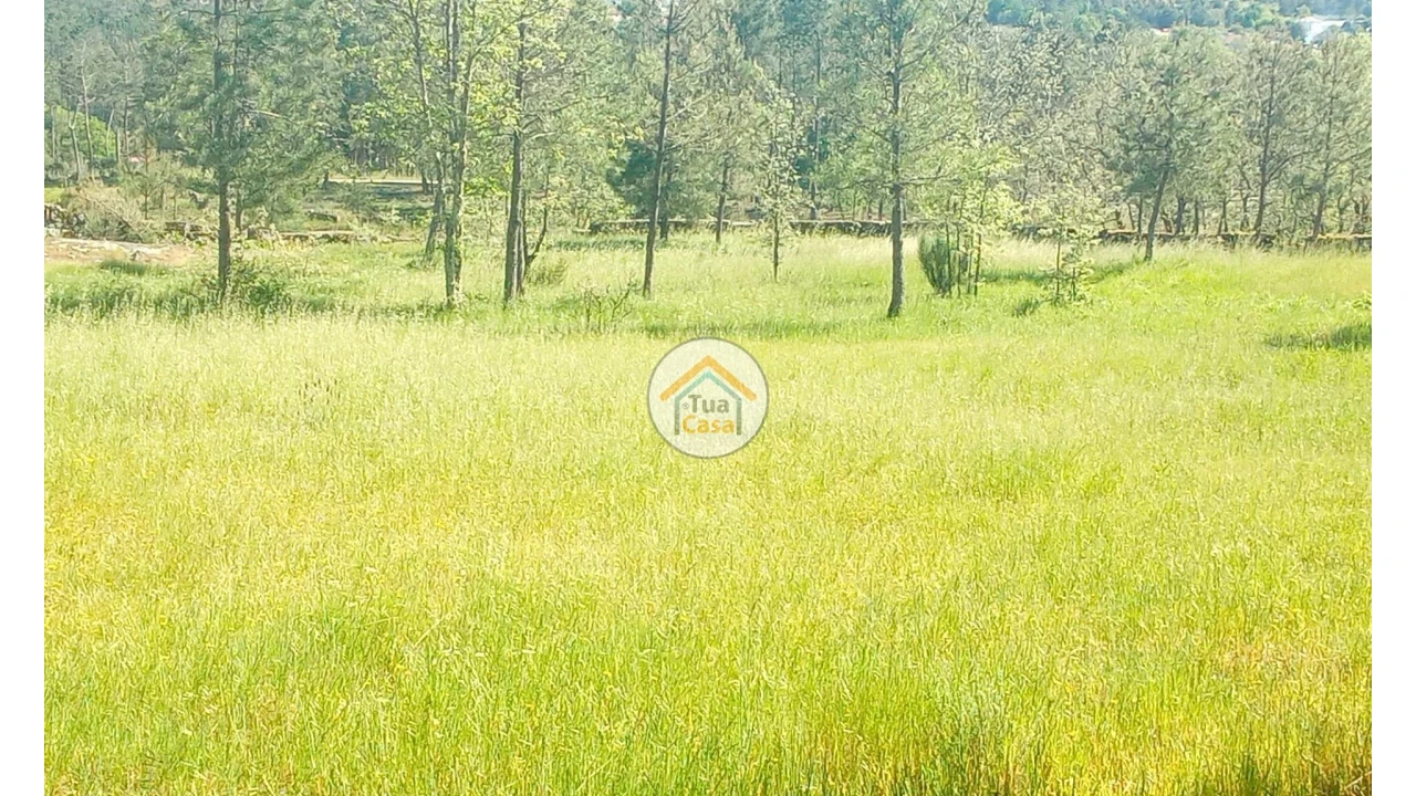 Terreno para Venda em Tavares (Chãs, Várzea e Travanca) Foto 22