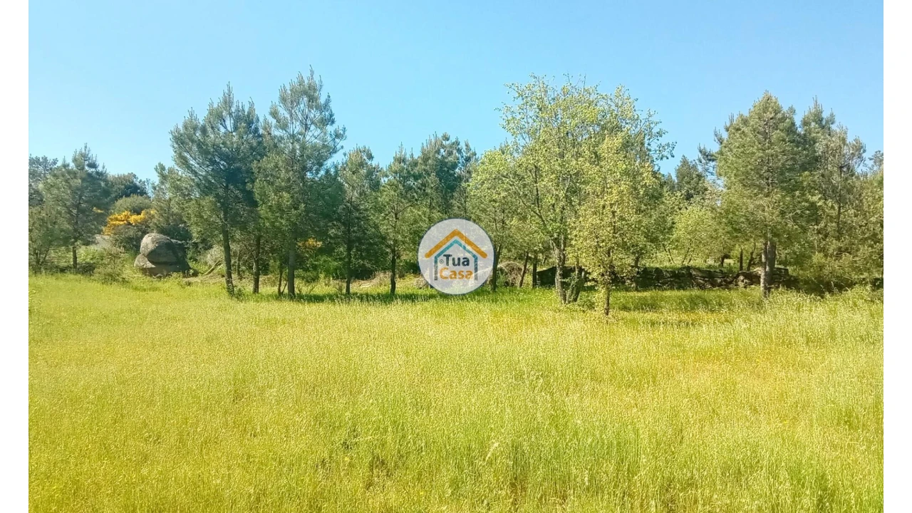 Terreno para Venda em Tavares (Chãs, Várzea e Travanca) Foto 20