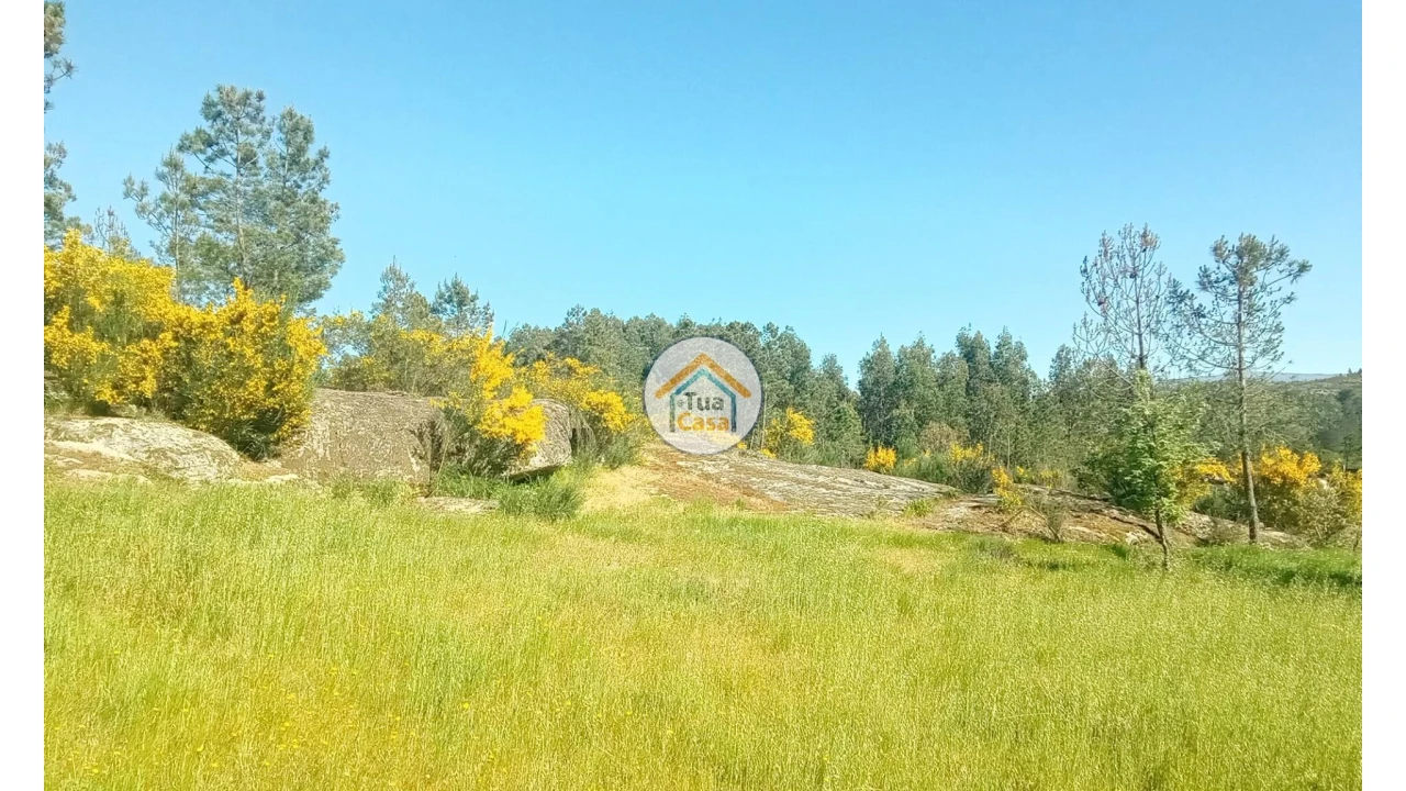 Terreno para Venda em Tavares (Chãs, Várzea e Travanca) Foto 21