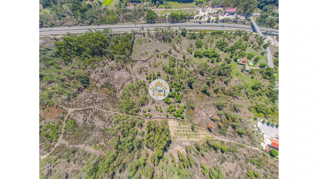 Terreno para Venda em Tavares (Chãs, Várzea e Travanca) Foto 3
