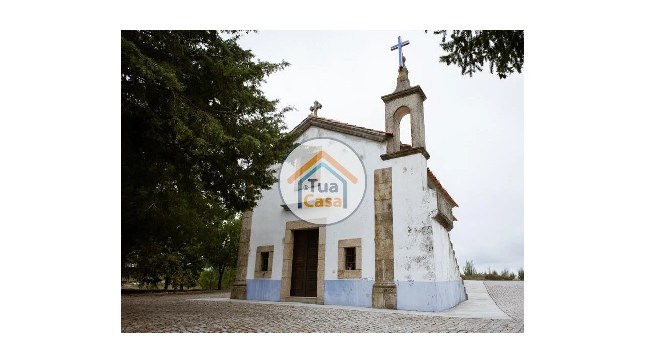 Terreno para Venda em Tavares (Chãs, Várzea e Travanca) Foto 14