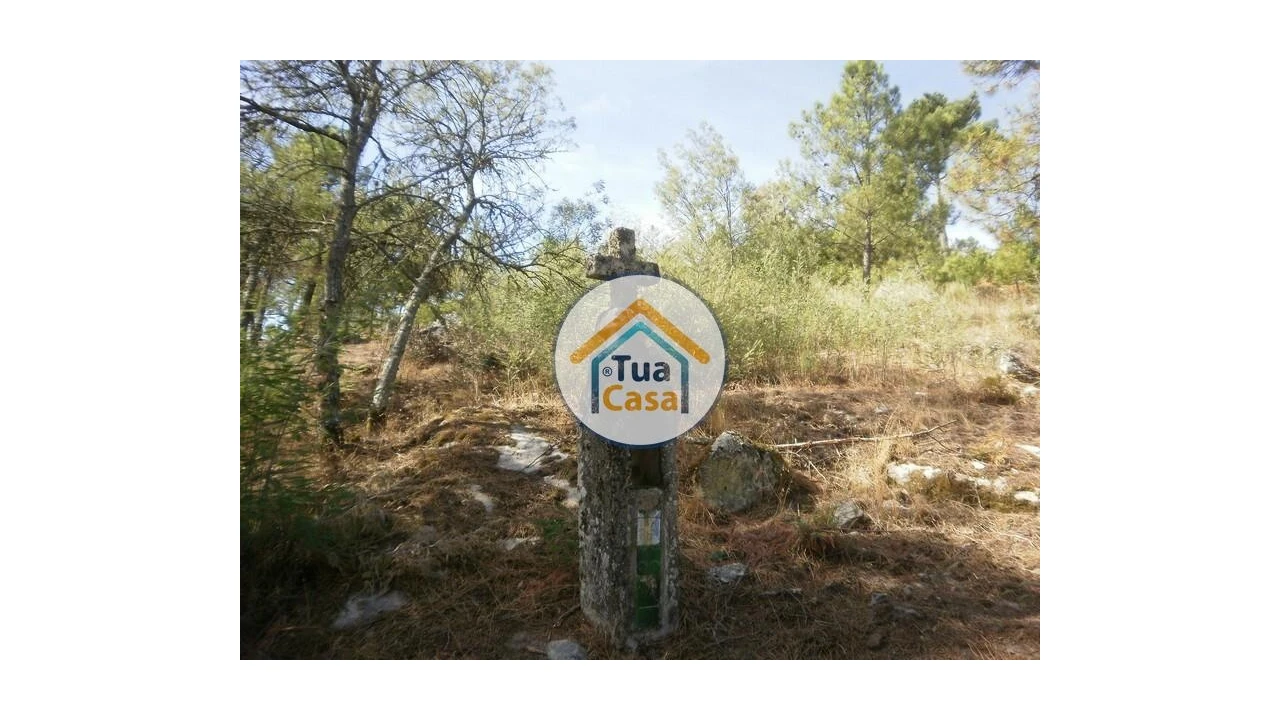 Terreno para Venda em Tavares (Chãs, Várzea e Travanca) Foto 16