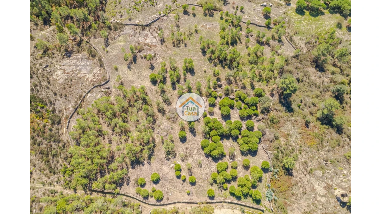 Terreno para Venda em Tavares (Chãs, Várzea e Travanca) Foto 2